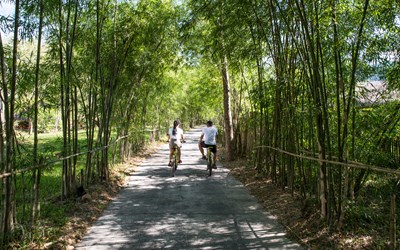 Highlights atAlba Wellness Eco & Wellness Half Board Package