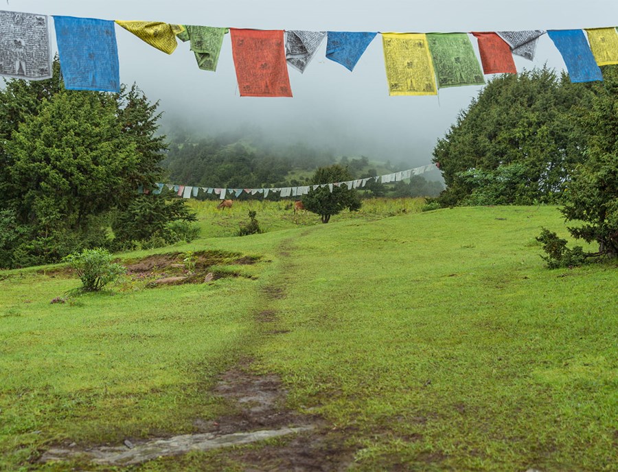 Bumdra Trek Winding Through Untouched Himalayan Forest Trails