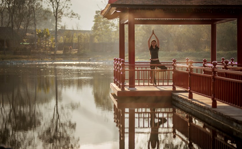 Alba Wellness Immersive Wellness Full Board Package