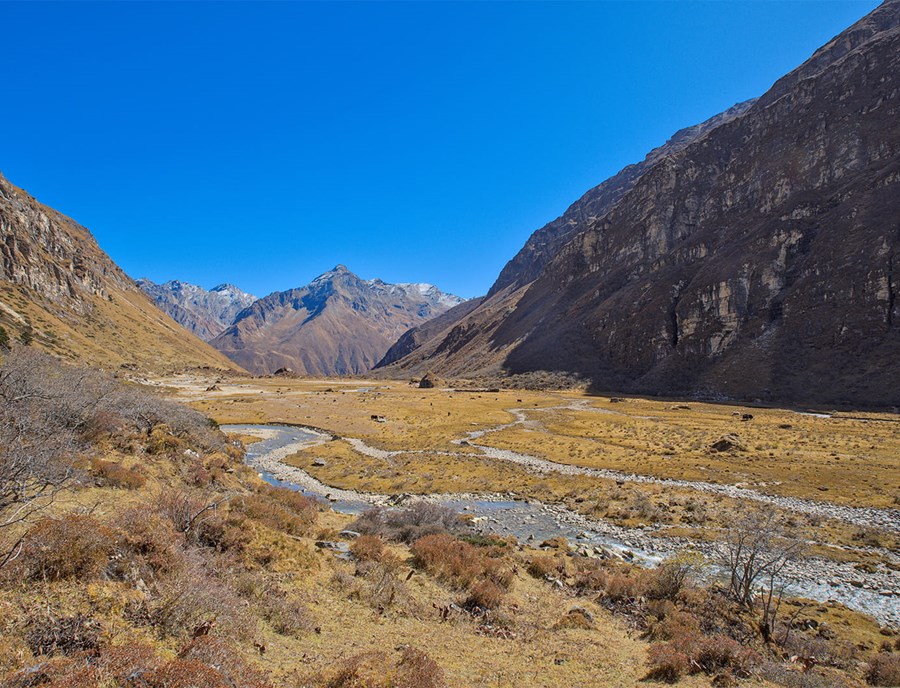 Mount Jomolhari Towers Above Bhutan’S Untamed Himalayan Wilderness