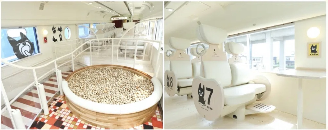 Aso Boy Interior Japan Train