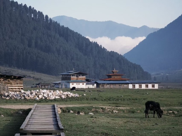 Bhutan Gangtey Hike
