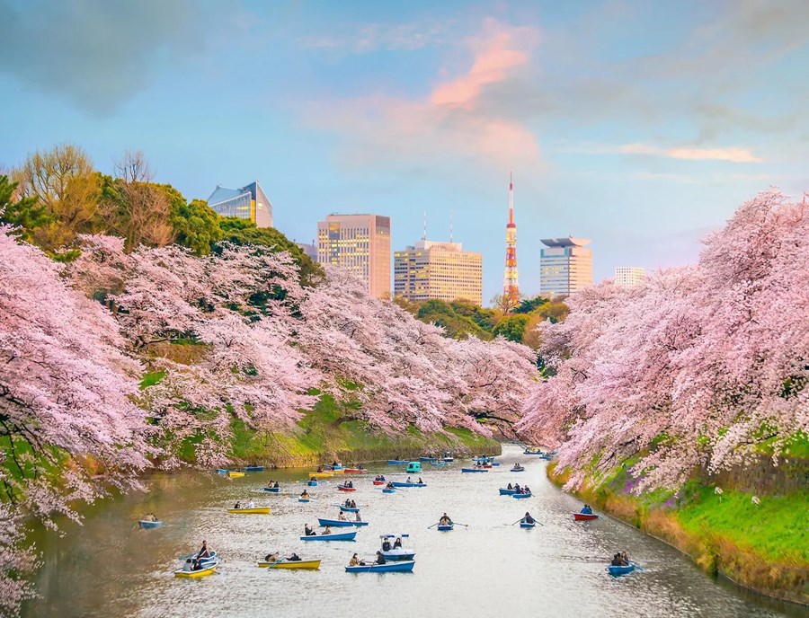Tokyp Europamundo