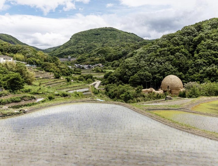 Embrace Shodoshima