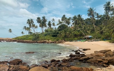 Highlights at7 Days 6 Nights Best of Sri Lanka