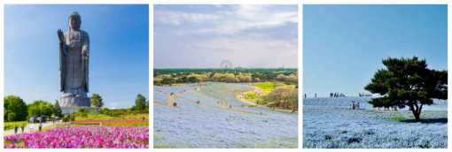 Ushiku Daibutsu, one of the tallest Buddha statues, Hitachi Seaside Park