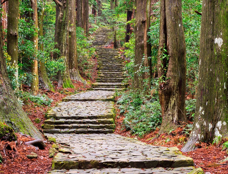 The Kumano Kodo Is A 1,000 Year Old Network Of Pilgrimage Trails On Japan’S Kii Peninsula, Designated As A UNESCO World Heritage Site For Its Spiritual And Natural Significance
