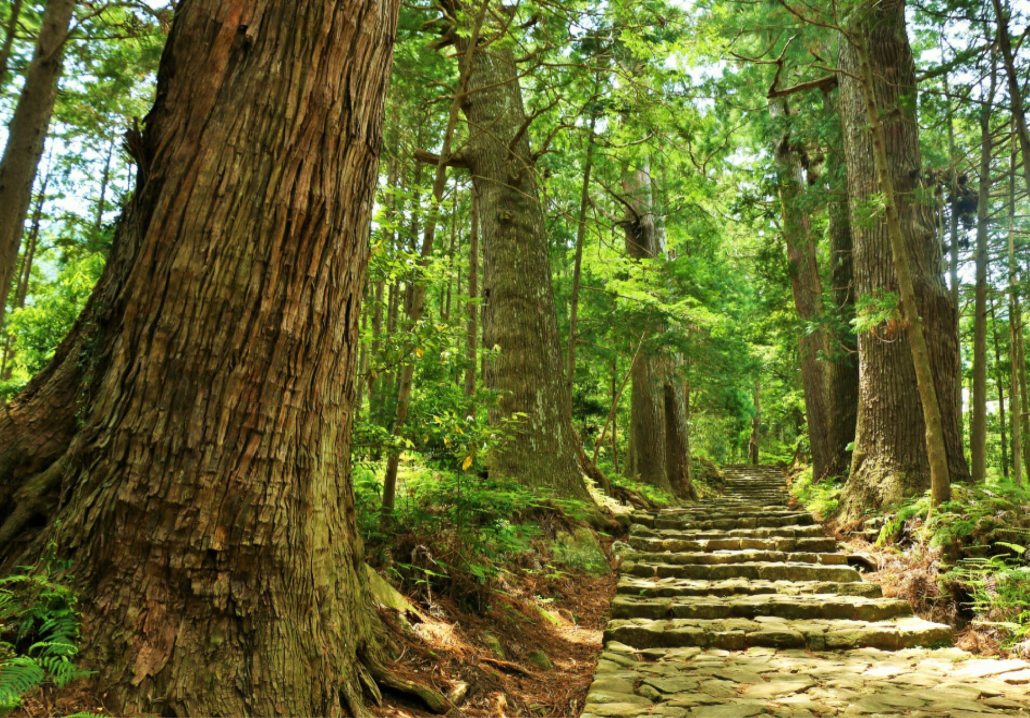 Daimonzaka trail