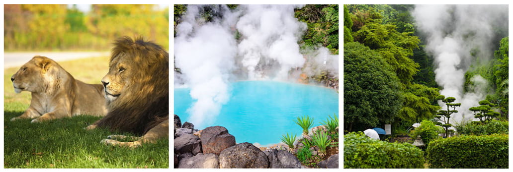 Safari Adventure And Bubbling Hot Springs