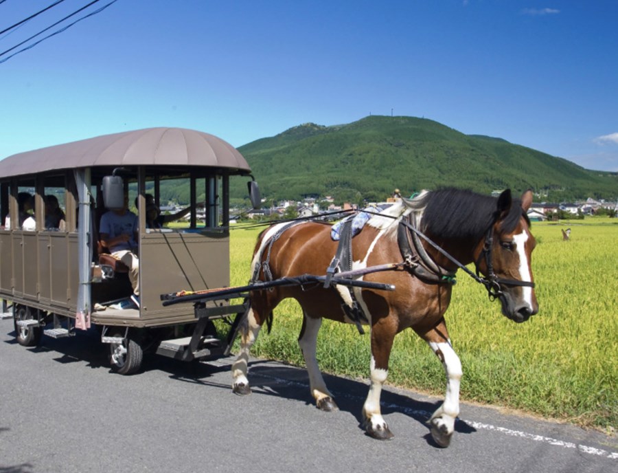 The Yufuin Horse Drawn Carriage