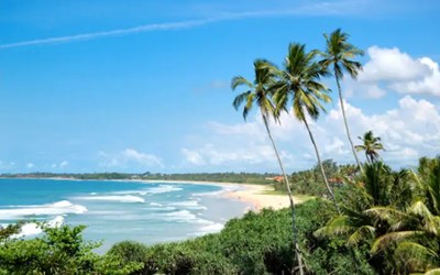 Highlights at7 Days 6 Nights Best of Sri Lanka