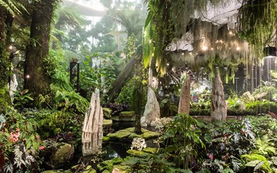 Highlights atExperience a captivating Gardens by the Bay afternoon tour