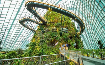 Highlights atExperience a captivating Gardens by the Bay afternoon tour