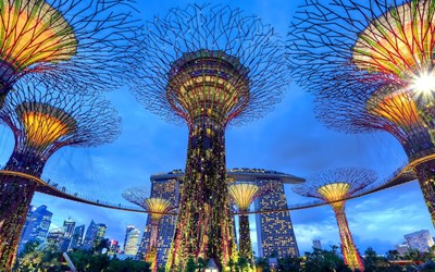 Highlights atExperience a captivating Gardens by the Bay afternoon tour