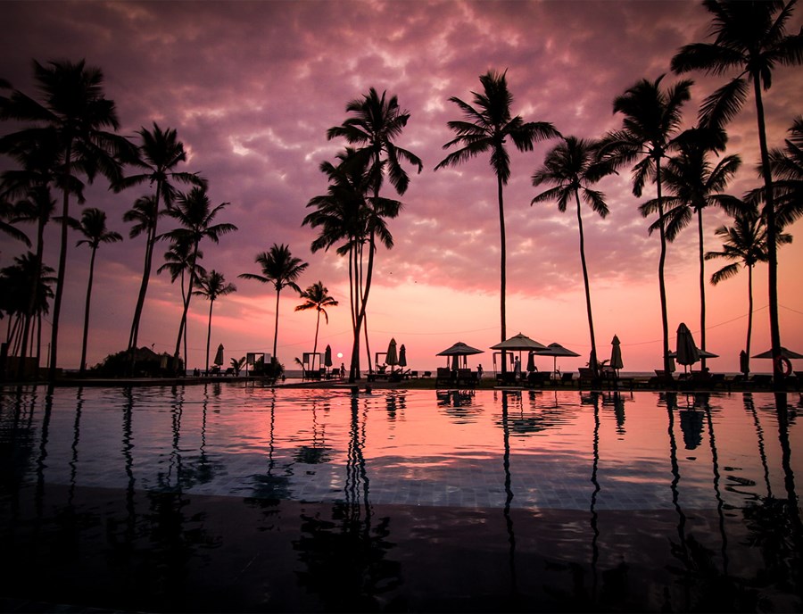 Sunset Reflections And Ocean Breezes Create Perfect Harmony In Palau