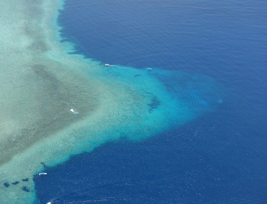 Blue Corner’S Dramatic Reefs Invite Unforgettable Marine Adventures