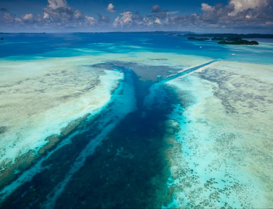 Ulong Channel Flows Through One Of Palau’S Richest Marine Sanctuaries