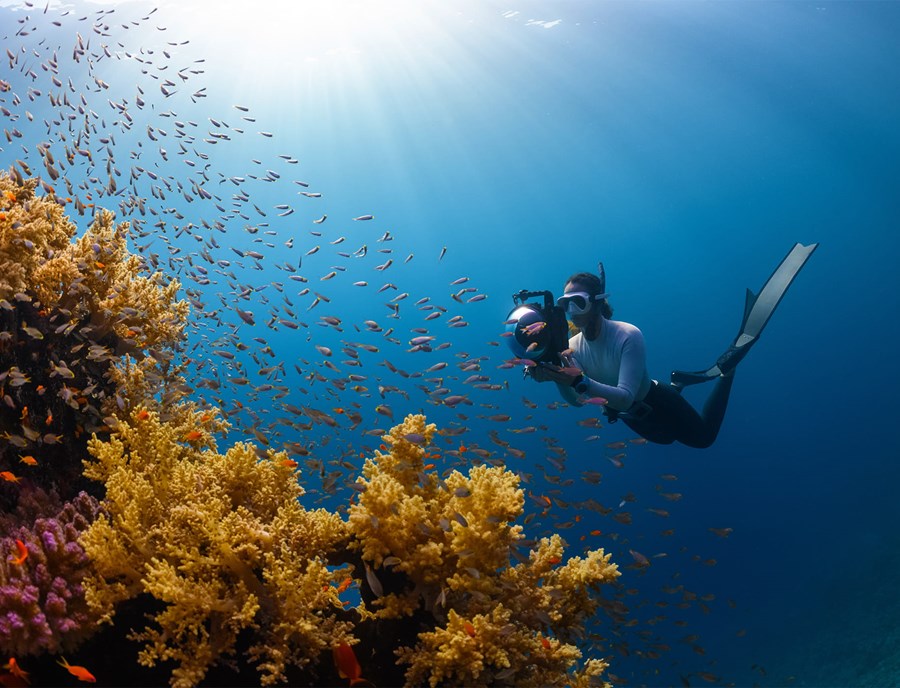 Crystal Clear Waters Make Snorkeling In Palau Truly Unforgettable