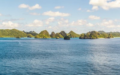 Highlights at5D4N A Glimpse of Palau