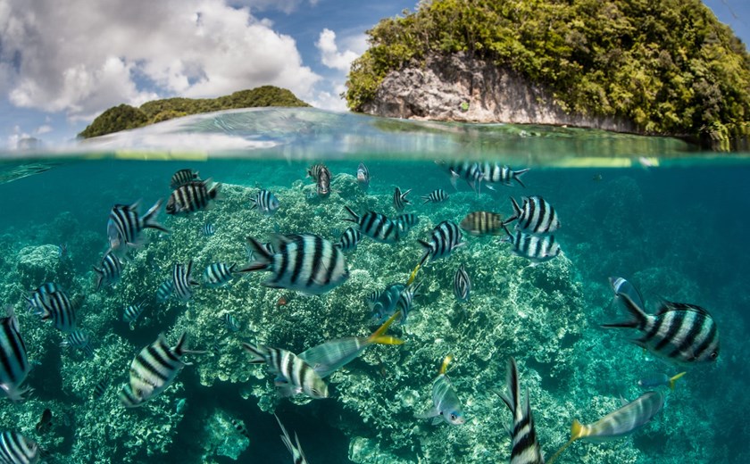 8D7N A Glimpse of Palau