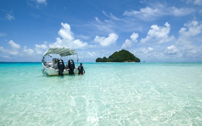 Highlights at5D4N A Glimpse of Palau