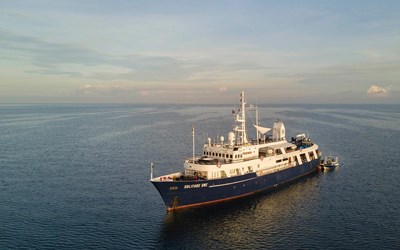 Highlights at8D7N Liveaboard Palau