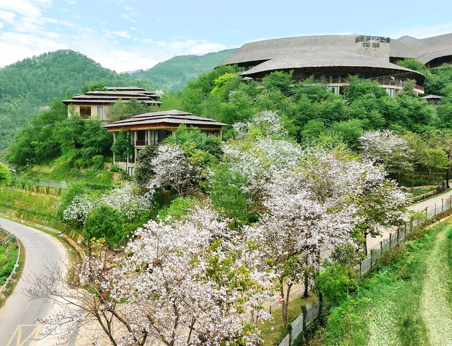 Garrya Mu Cang Chai Resort Vietnam Mu Cang Chai Pool Suite Bauhina Flower Season
