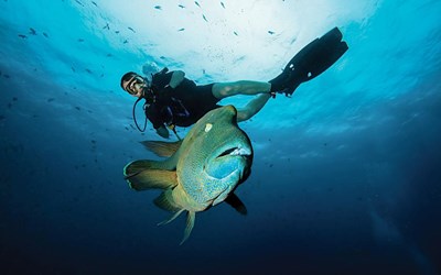 Highlights at8D7N Joined In Palau Diving Experience