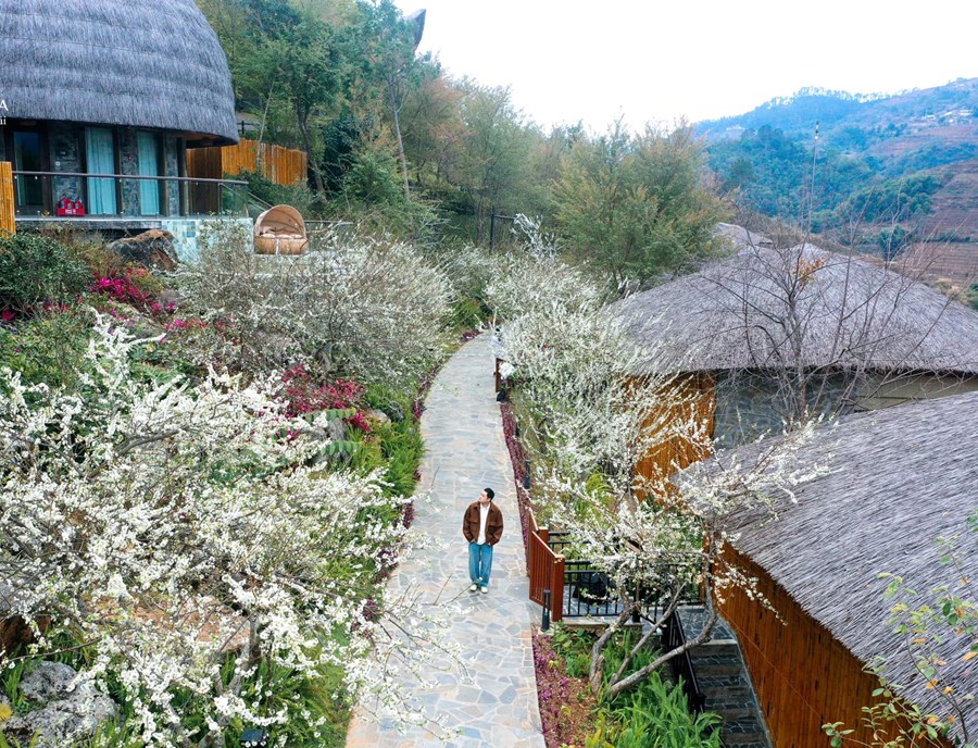 Garrya Mu Cang Chai Resort Vietnam Mu Cang Chai Pool Suite Plum Blossom Season