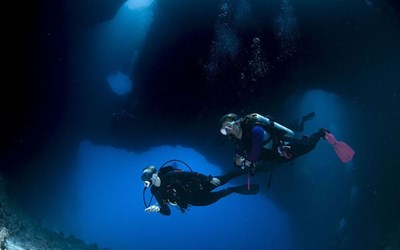 Highlights at8D7N Private Palau Diving Experience