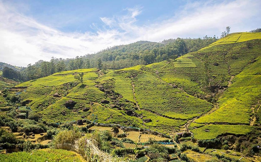7 Days 6 Nights Best of Sri Lanka