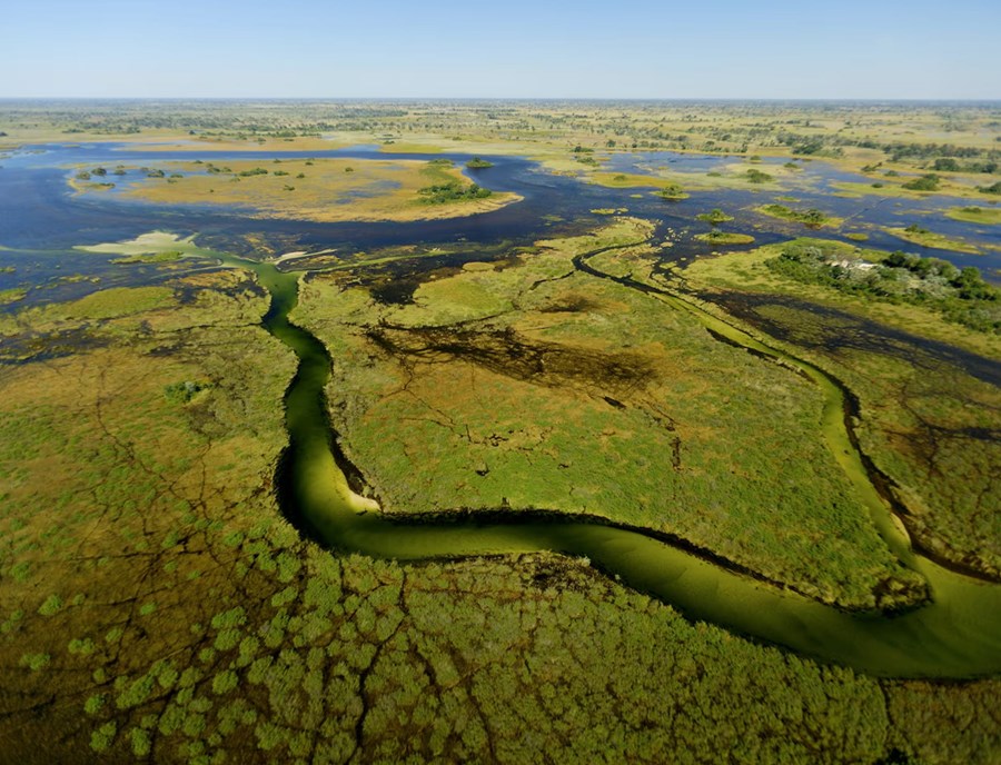 Okavango Delta Maun Botswana