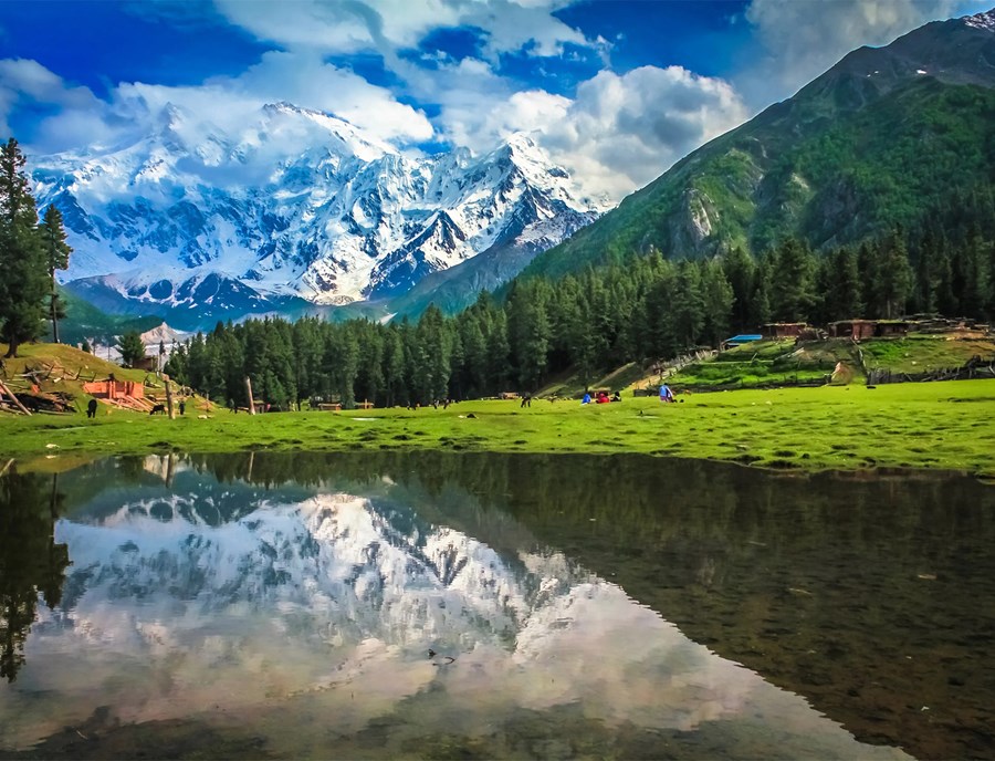 Fairy Meadows