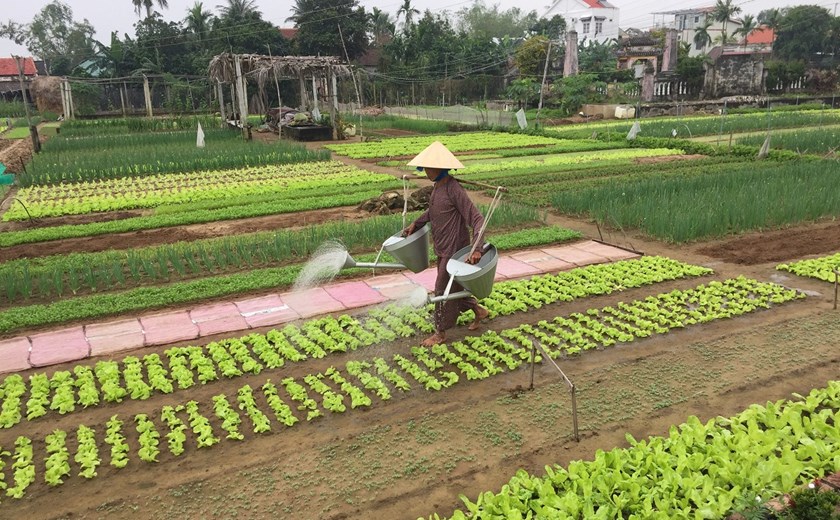 8 Days 7 Nights Explore Central Vietnam