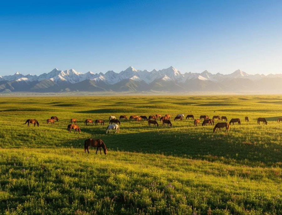 Nalati-Grassland-Xinjiang=China