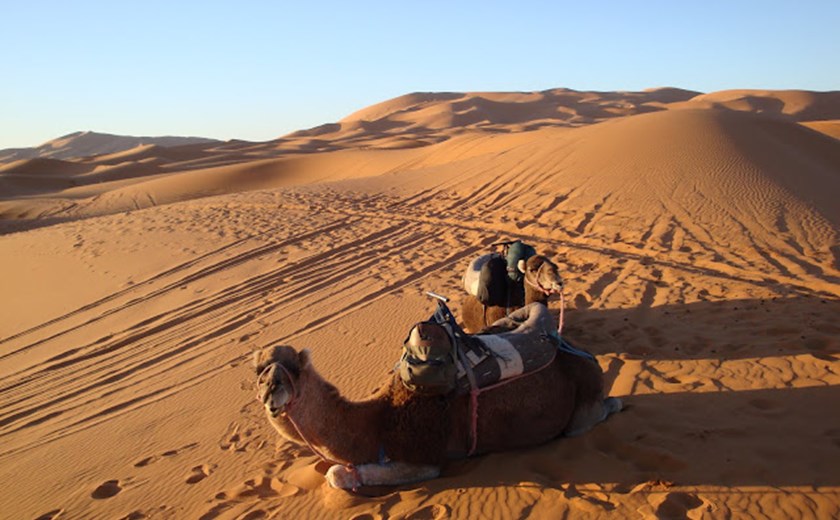 9 Days 8 Nights Morocco Desert Glamping