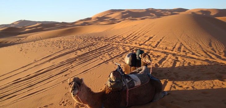 Day 4: Imperial Glory Lodges, Erg Chebbi Desert