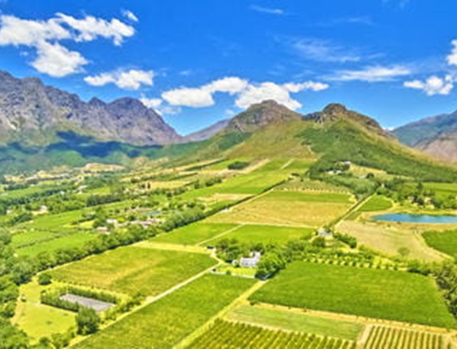 Discover South Africa S World Renowned Cape Winelands