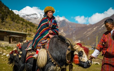 Highlights atUniquely designed Photography Trip to Bhutan with Michael Lee
