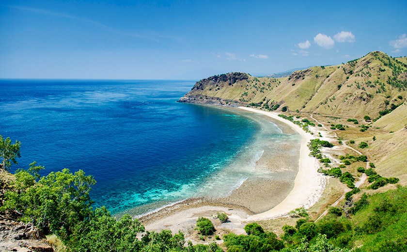 7 Days 6 Nights Whale Watching Tour in Dili, Timor Leste