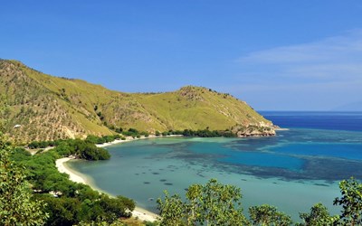 Highlights at7 Days 6 Nights Whale Watching Tour in Dili, Timor Leste
