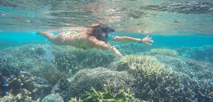 Day 4 : Snorkeling