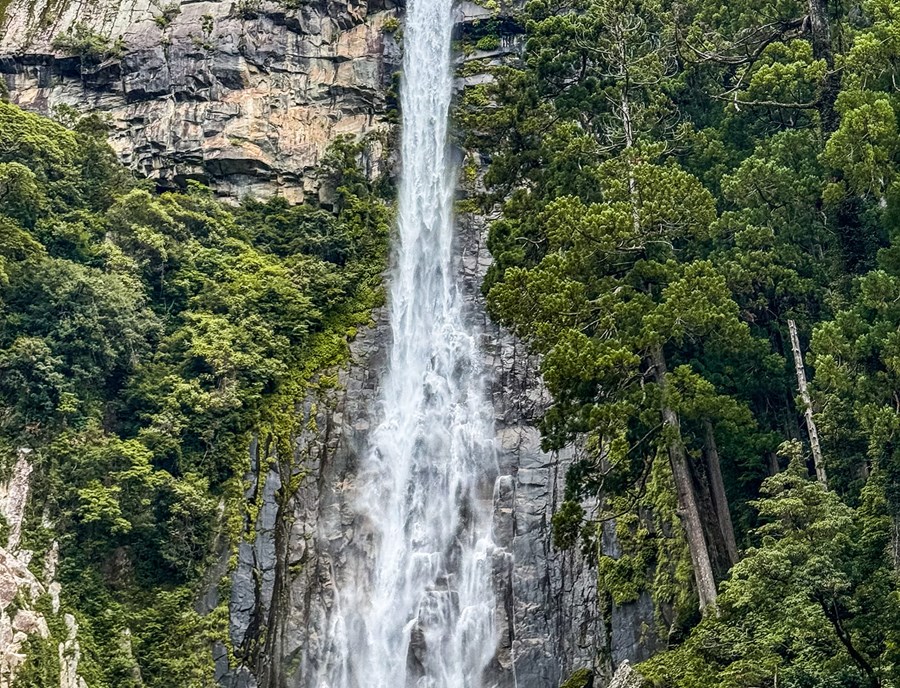 Discover The Majestic Beauty Of Nachi Waterfall In Kumano