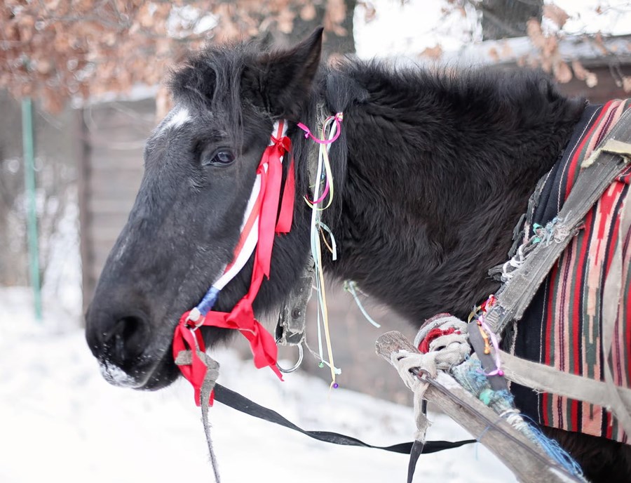Snow Village Horse Sleigh