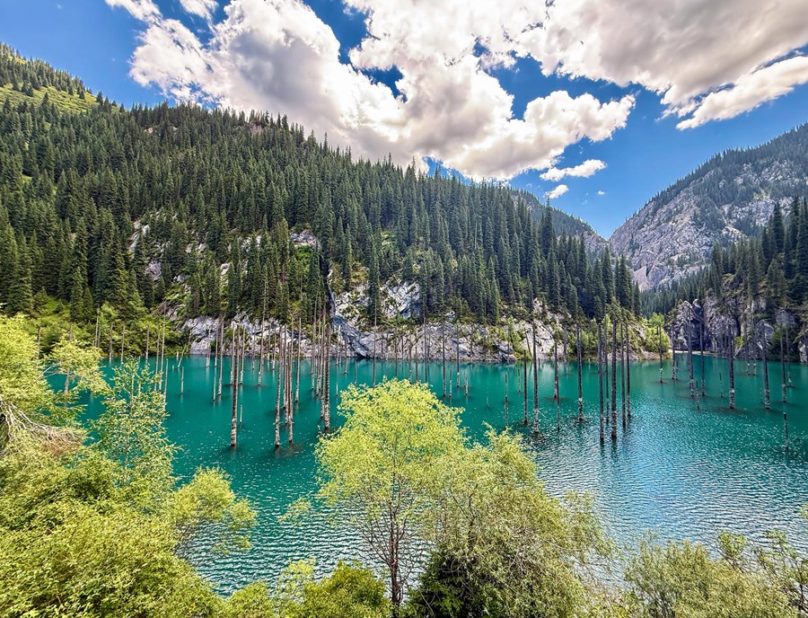 Explore The Legendary Sunken Forest Of Kaindy Lake