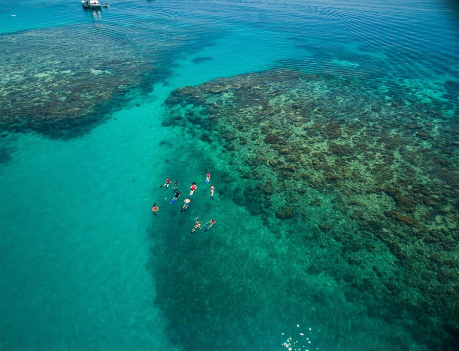 Catamaran Cruise