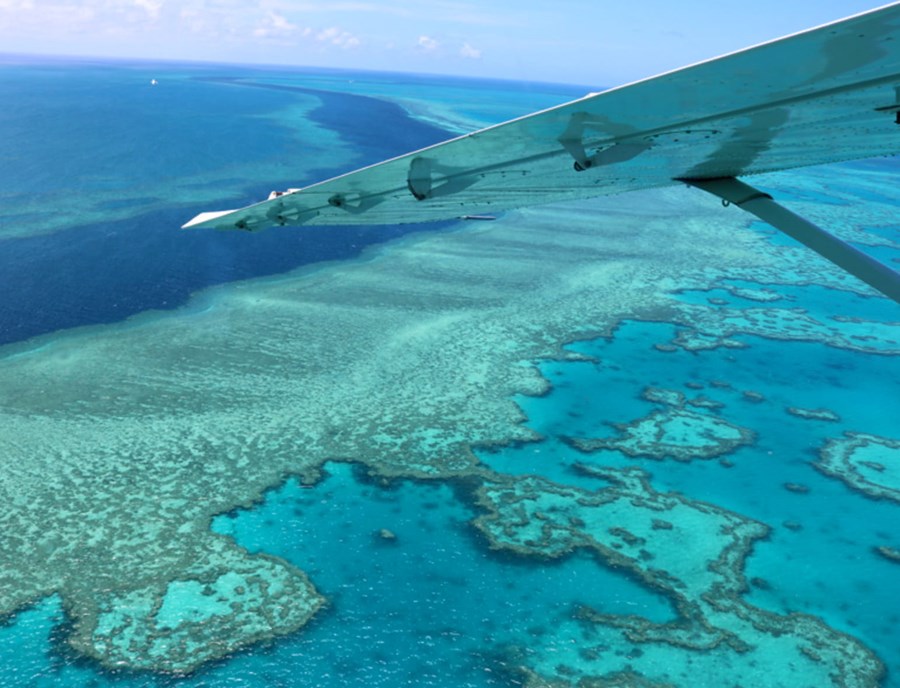 Explore The Vibrant Underwater World Of The Great Barrier Reef