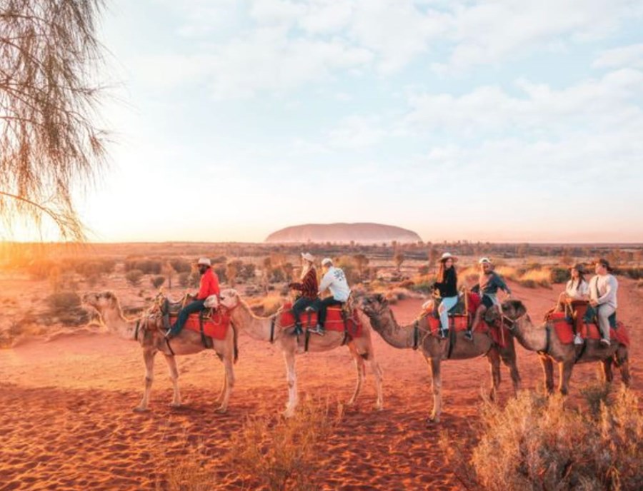 Experience The Australian Outback On A Camel Ride