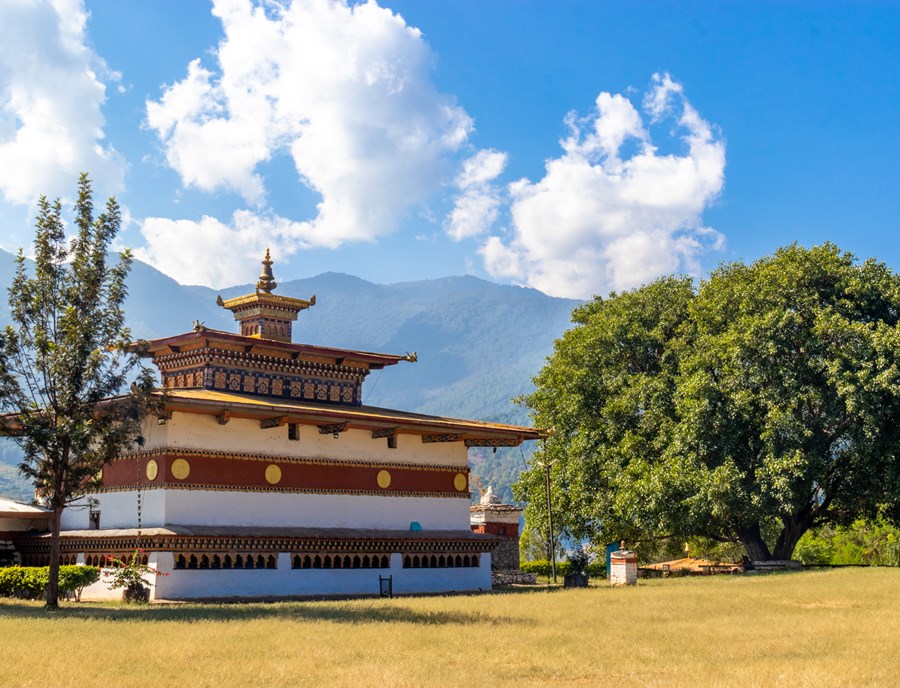 Walk Through Rice Fields To Chimi Lhakhang