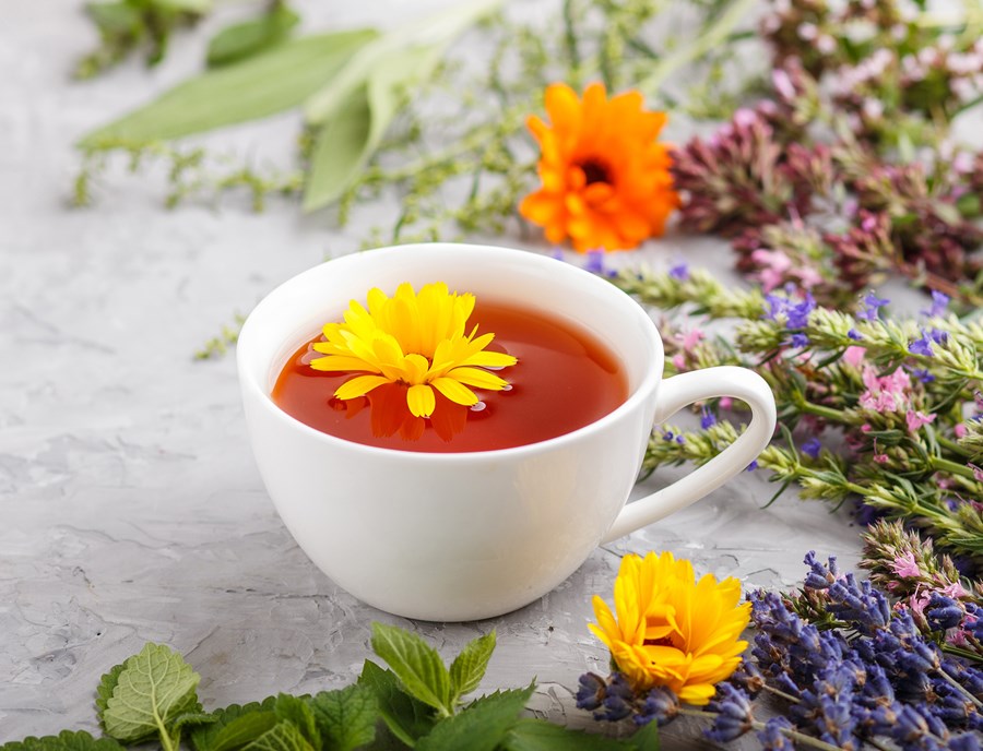 Sip Wellness With Every Cup